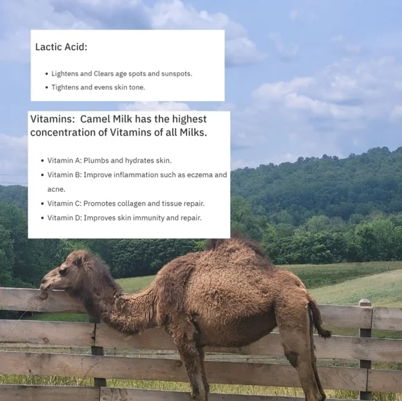 LIMITED QUANTITY Super Beauty Food Camel's Milk Soap - Picture 6 of 14